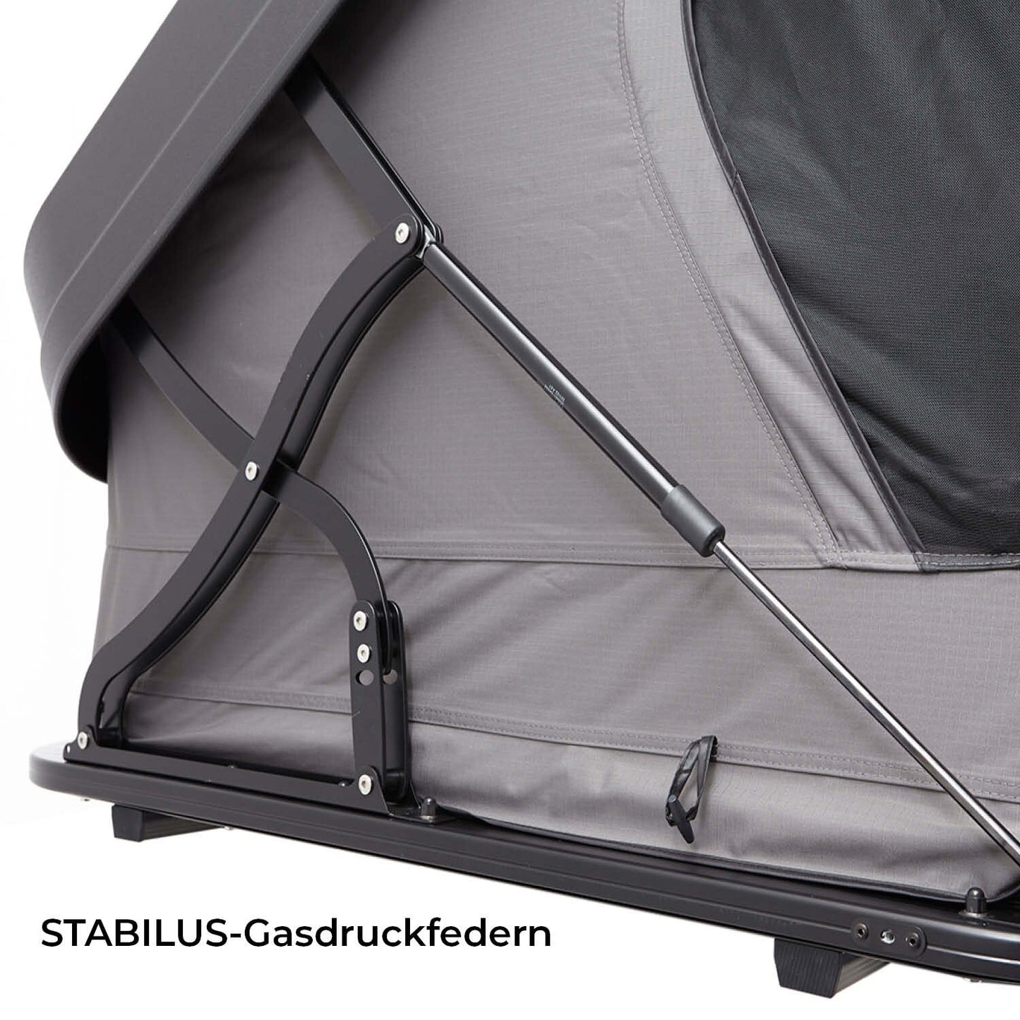 Dachzelt Hybrid MIGHTY OAK 3.0 160 - zur Miete pro Tag ab 32€ in Münster