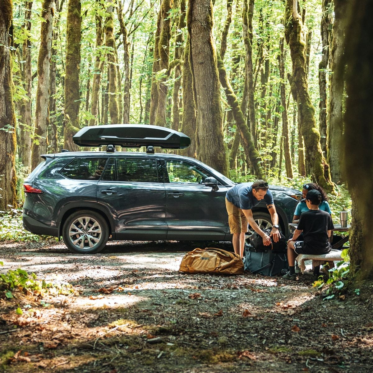 Thule Dachbox Force 3