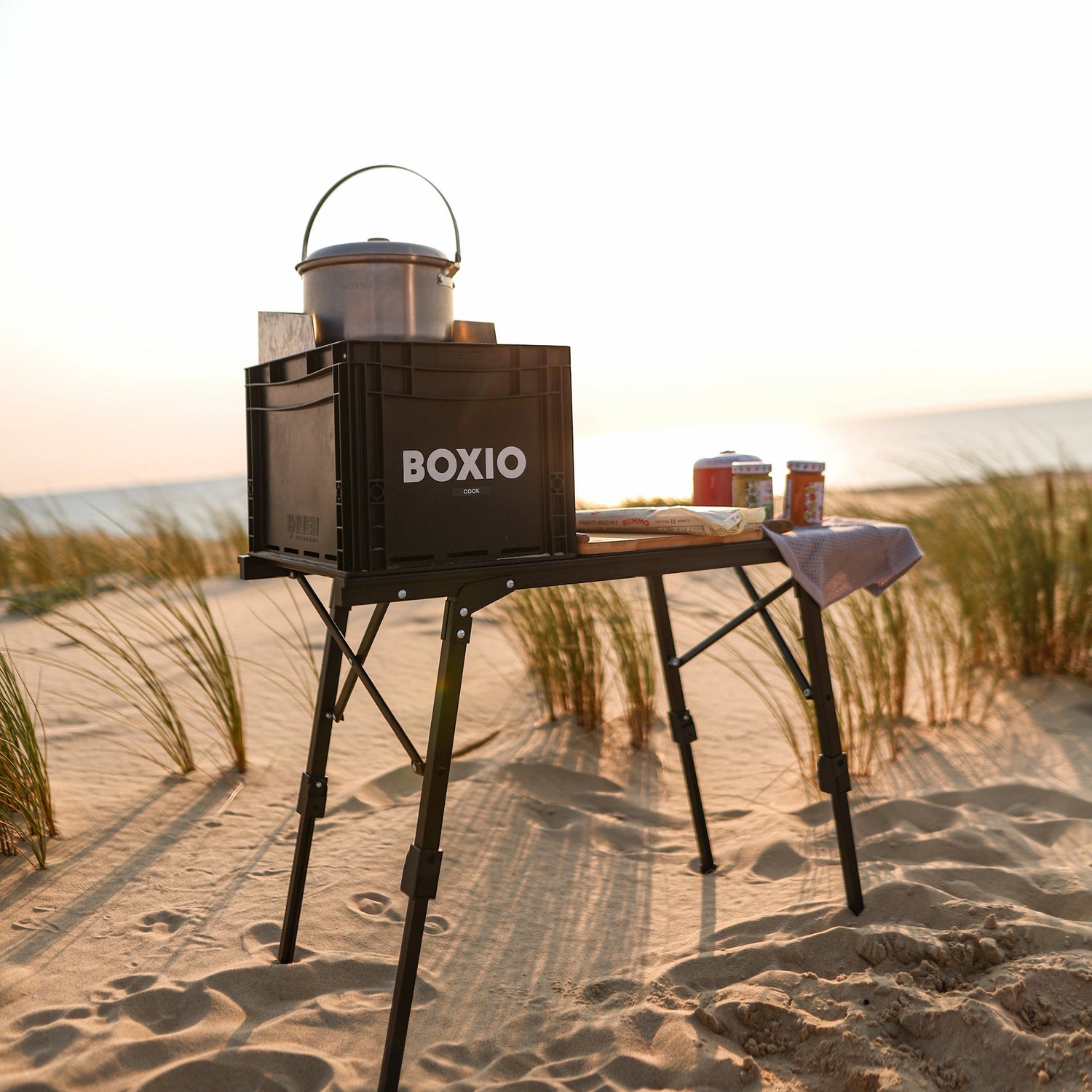 BOXIO TABLE PLUS I 2-in-1 Tisch und Hängeregal