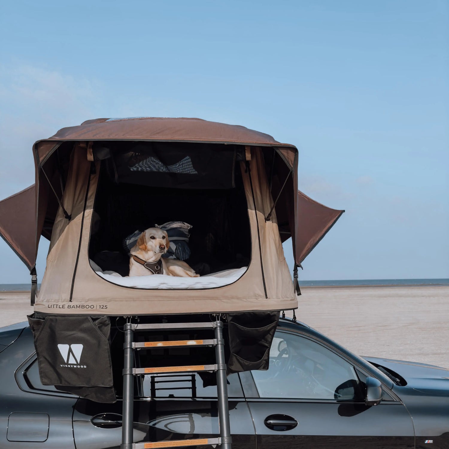 Vickywood Händler Münster