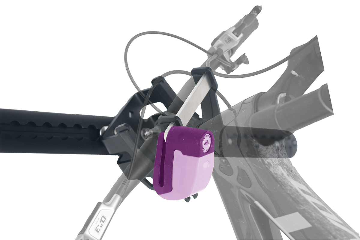 https://pushcomponents.com/wp-content/uploads/2024/09/pushrack-bikehalter-fahrradtraeger-airline-schiene-camper-mountainbike-push-components-vzwei-bremsscheibenschloss-diebstahlschutz.png